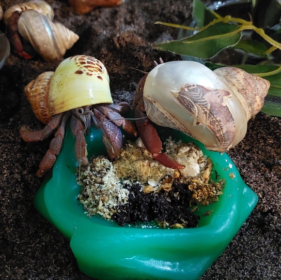 PLSreadBEFOREbuying! - Picture 12 of 12